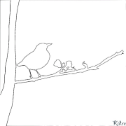blackbird Shafukan Masu Launi Da Ake Bugawa